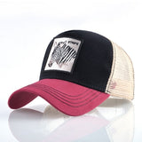 High Quality Zebra Embroidery Baseball Cap Women Men