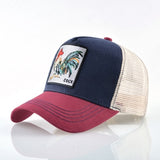 New Baseball Caps For Men Women