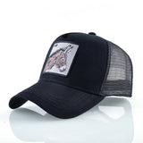 New Baseball Caps For Men Women