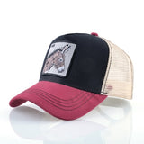 New Baseball Caps For Men Women
