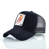 New Baseball Caps For Men Women