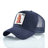 New Baseball Caps For Men Women